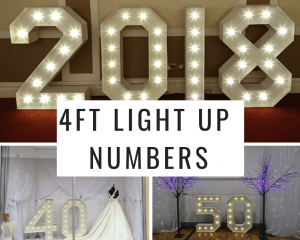 4ft Individual Number Light Up Love Button