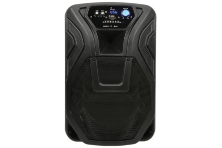 Busker PA 12" Portable Speaker + Mic Pack